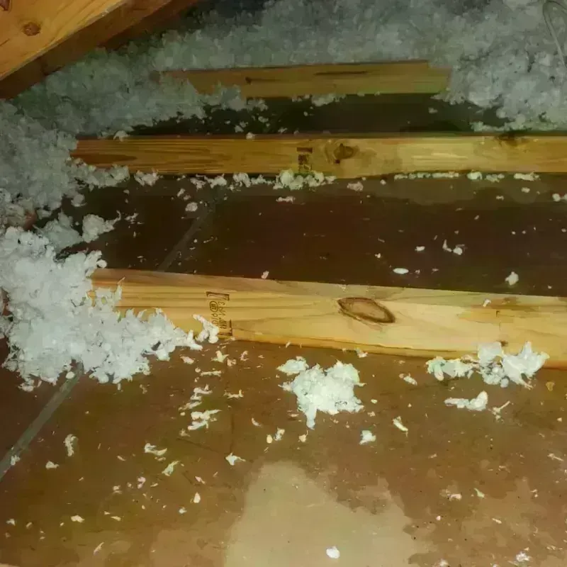 Attic Water Damage in Albertville, AL