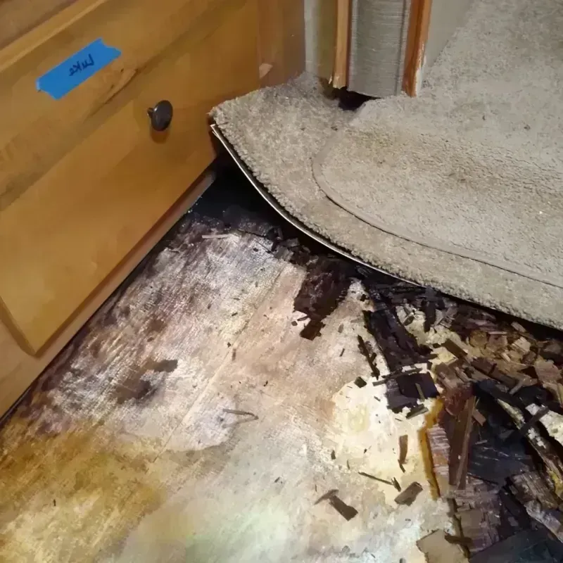 Wood Floor Water Damage in Albertville, AL